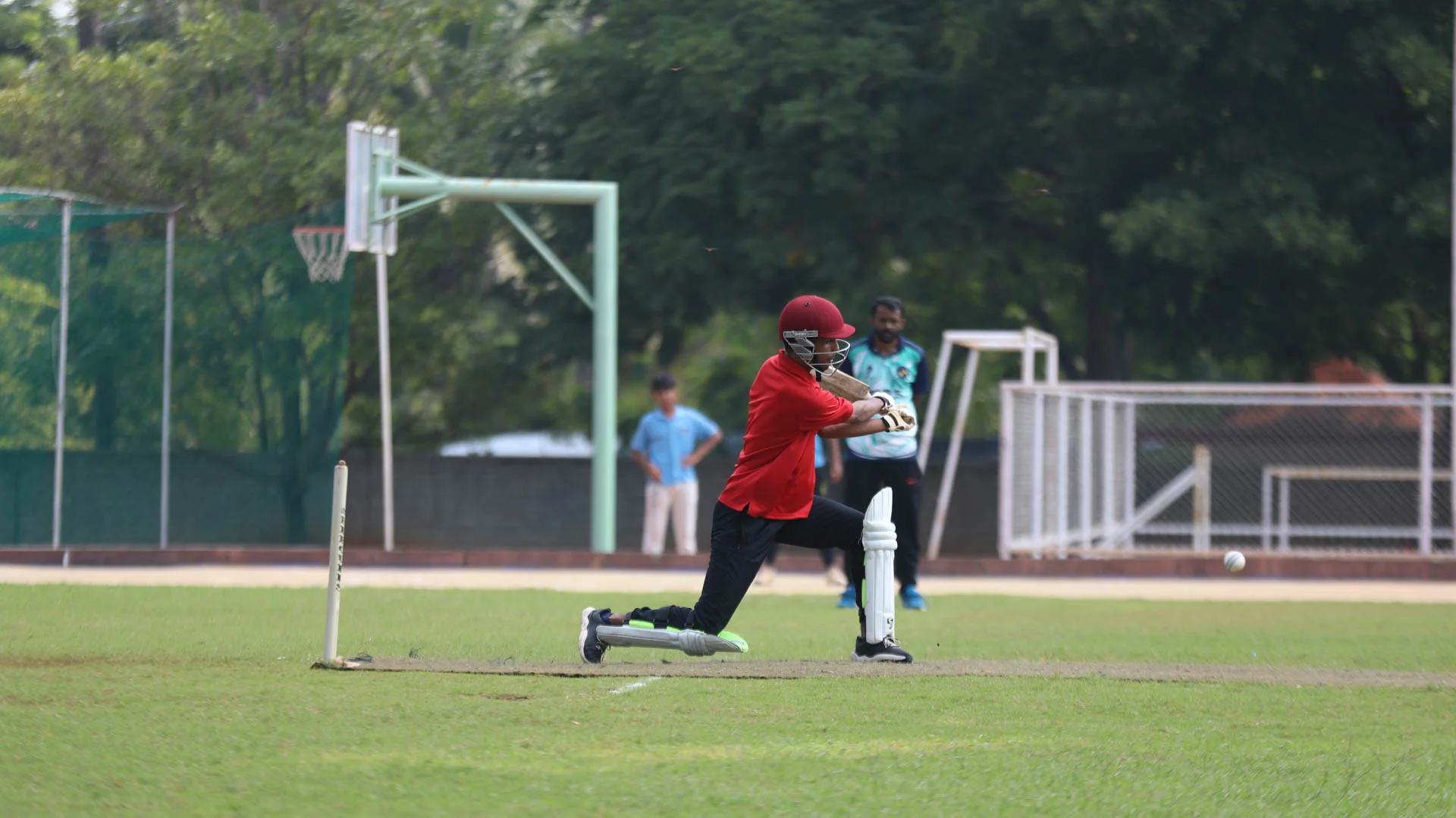 Cricket