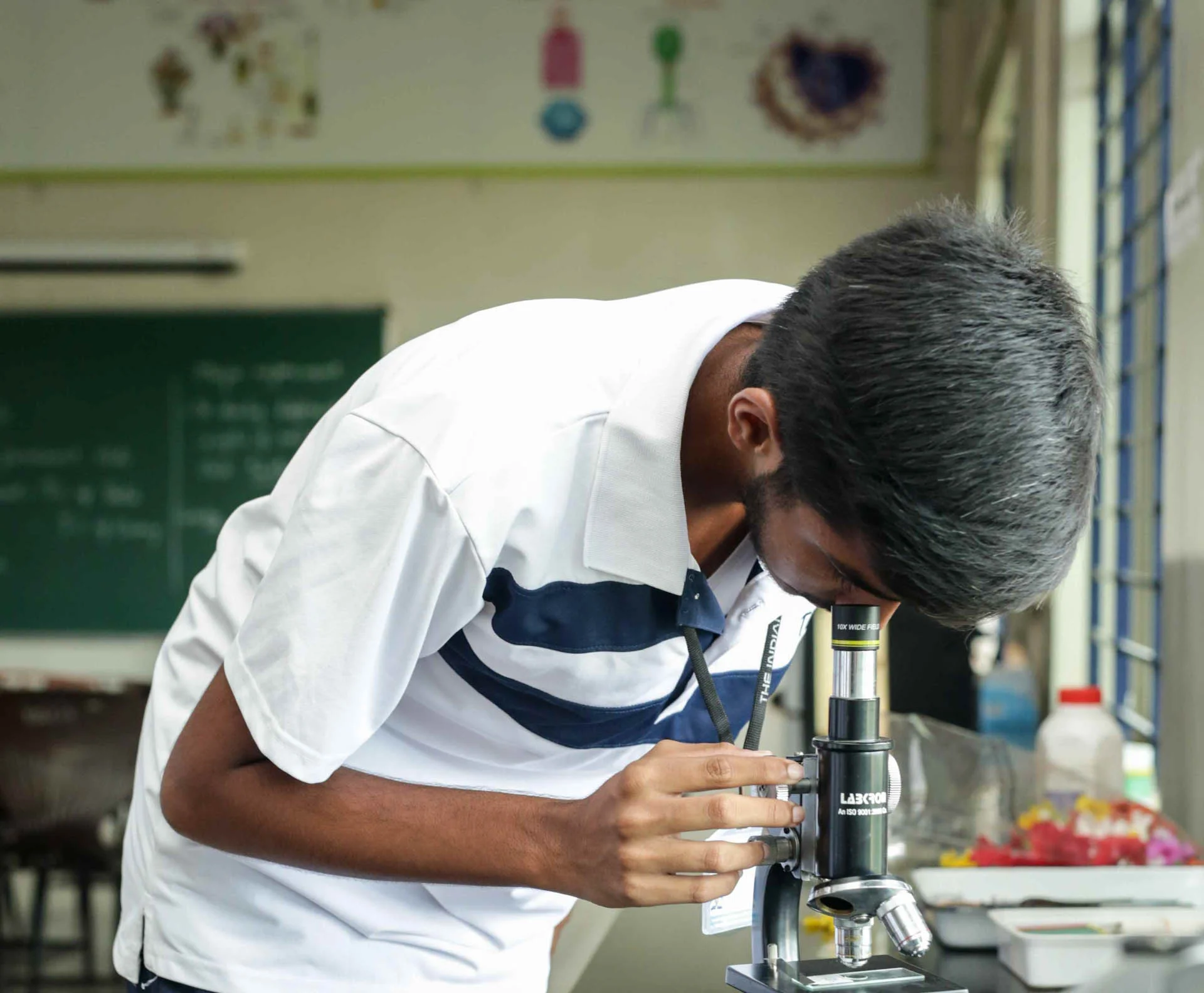 Sciences